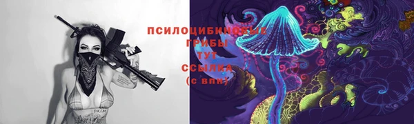 гашиш Белокуриха
