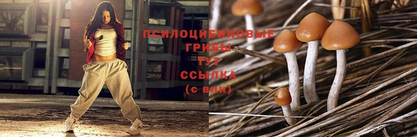 гашиш Белокуриха